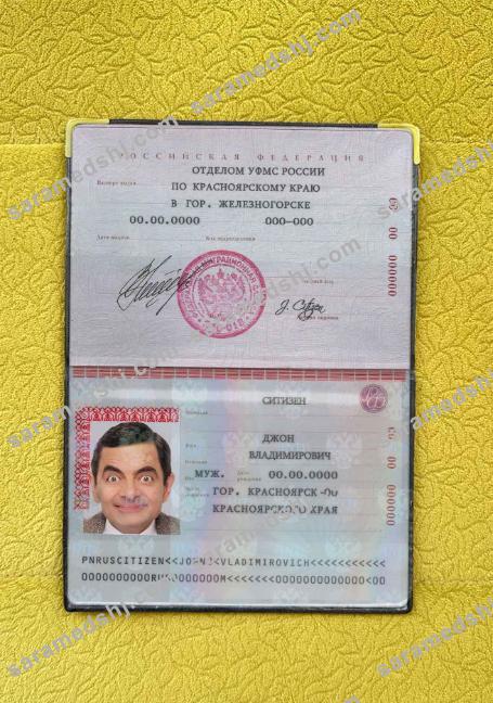 Russia Standard Passport photo look